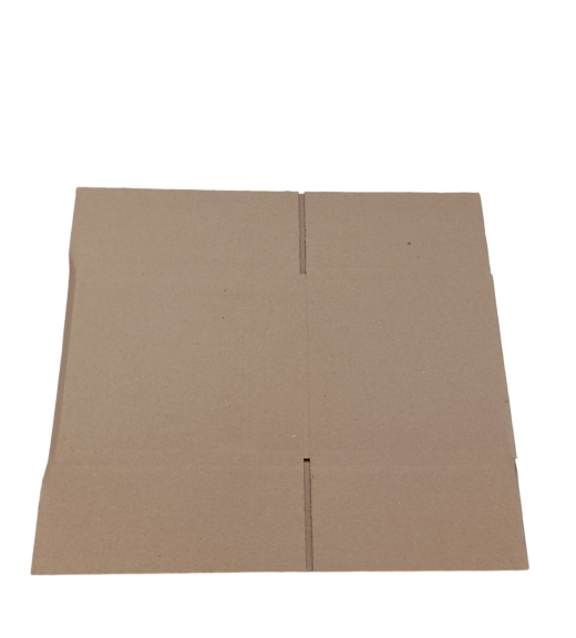 390-img_20241007_113438