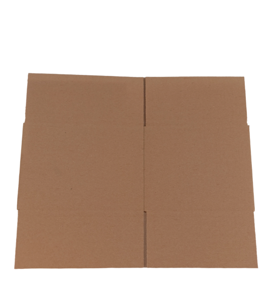 6232-img_20241008_143249