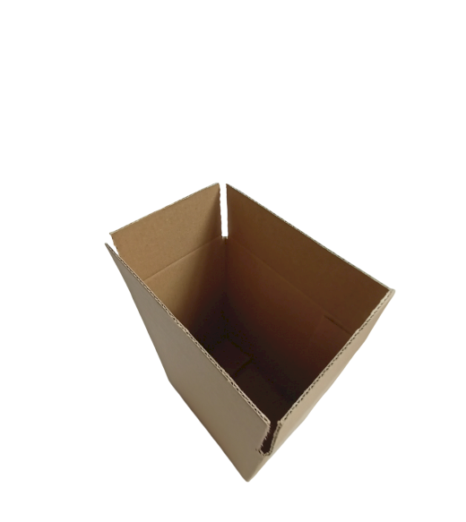 5377-img_20241007_153913