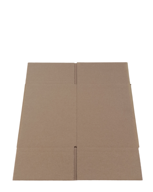 5134-img_20241010_124237