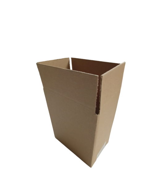 5377-img_20241007_153901