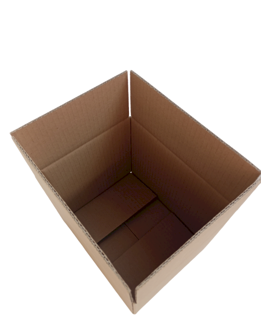 7431-img_20241009_110145