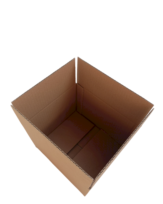 6232-img_20241008_143313