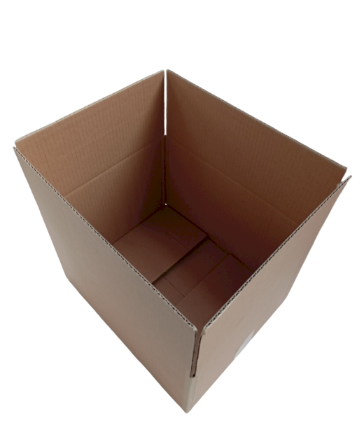 4029-img_20241014_133847