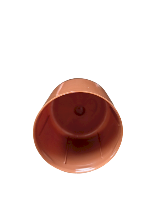 6951-img_20240717_111155