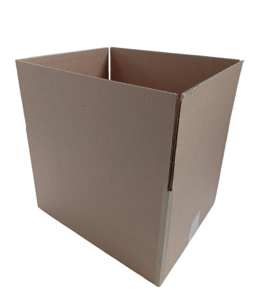 4029-img_20241014_133836