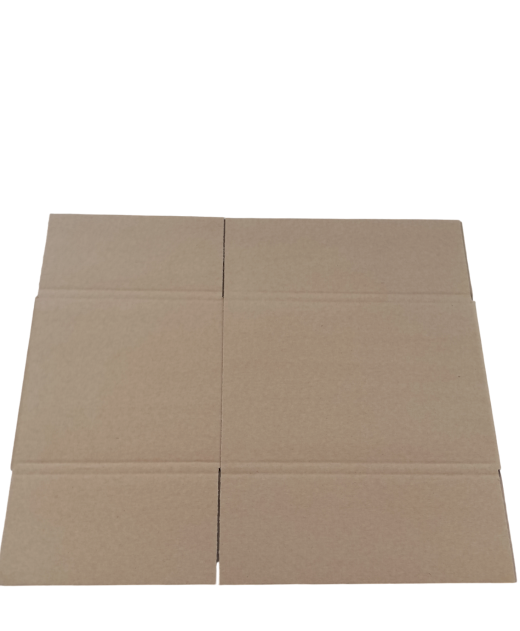 6935-img_20241014_115802