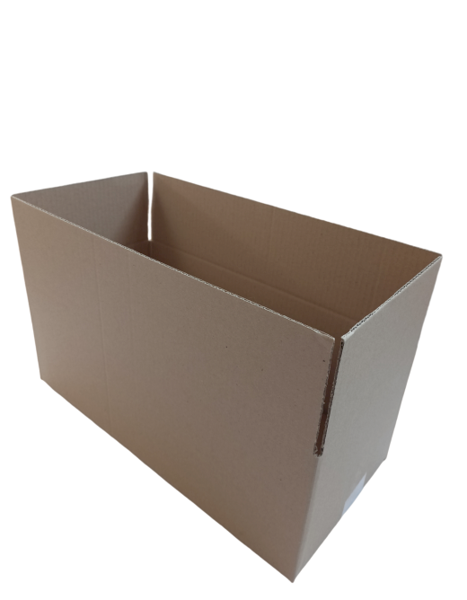 577-img_20240925_095326