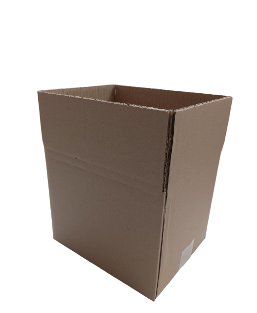 7033-img_20241007_084904