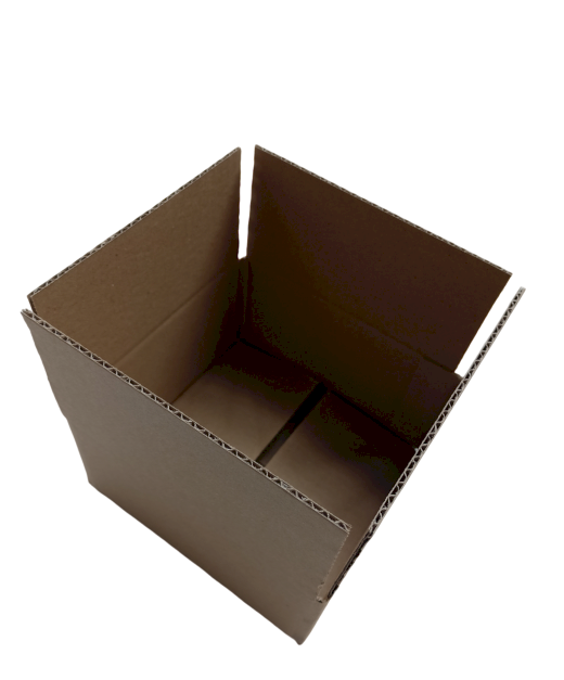 298-img_20241007_115409