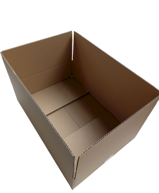 3997-img_20241007_105747