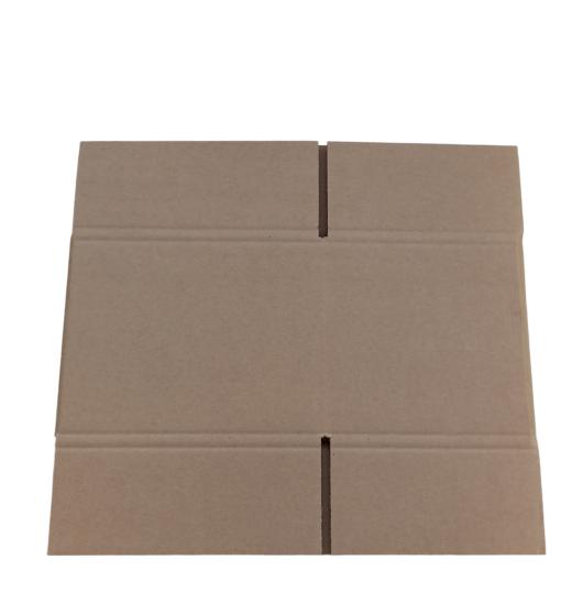 7431-img_20241009_110120