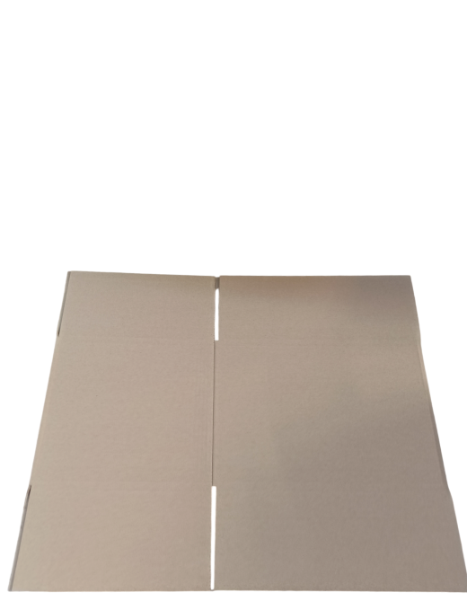 3483-img_20241010_091957