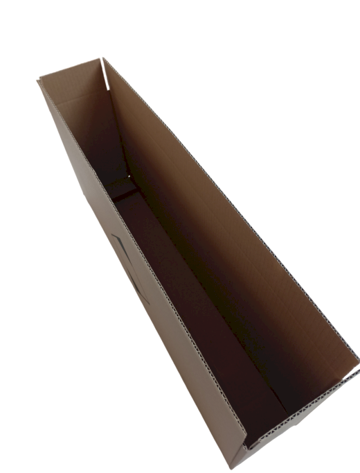 703-img_20240925_080511