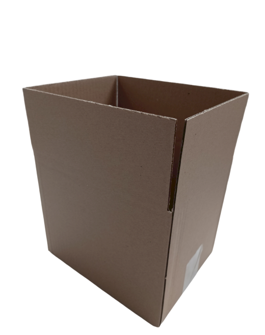 390-img_20241007_113449